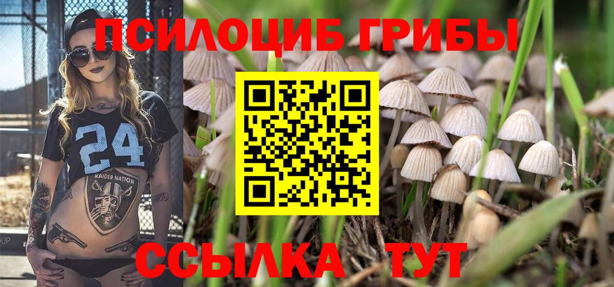 как найти закладки  Галлюциногенные грибы Cubensis  Вход с VPN  Зеленокумск 