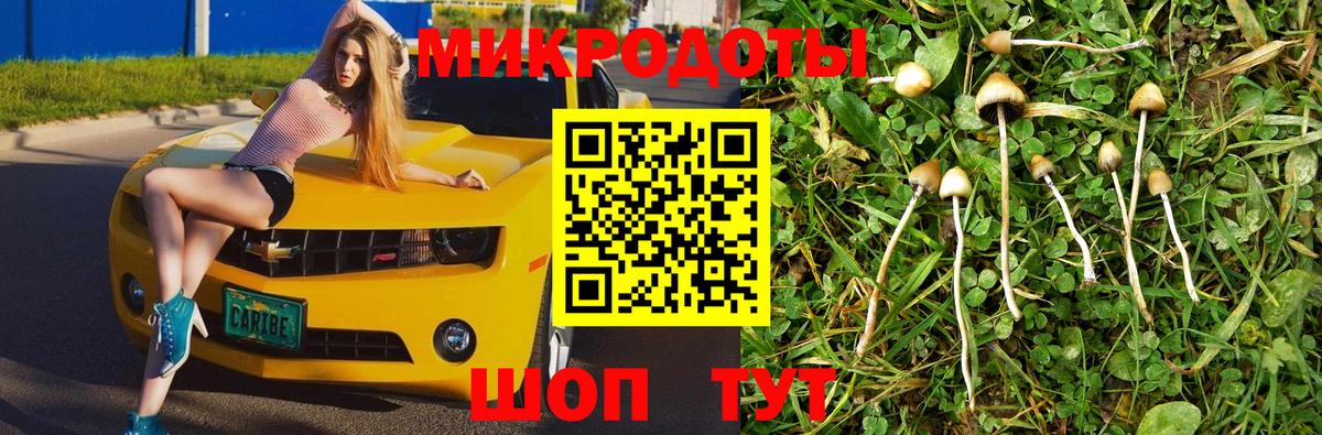 Псилоцибиновые грибы мицелий Зеленокумск